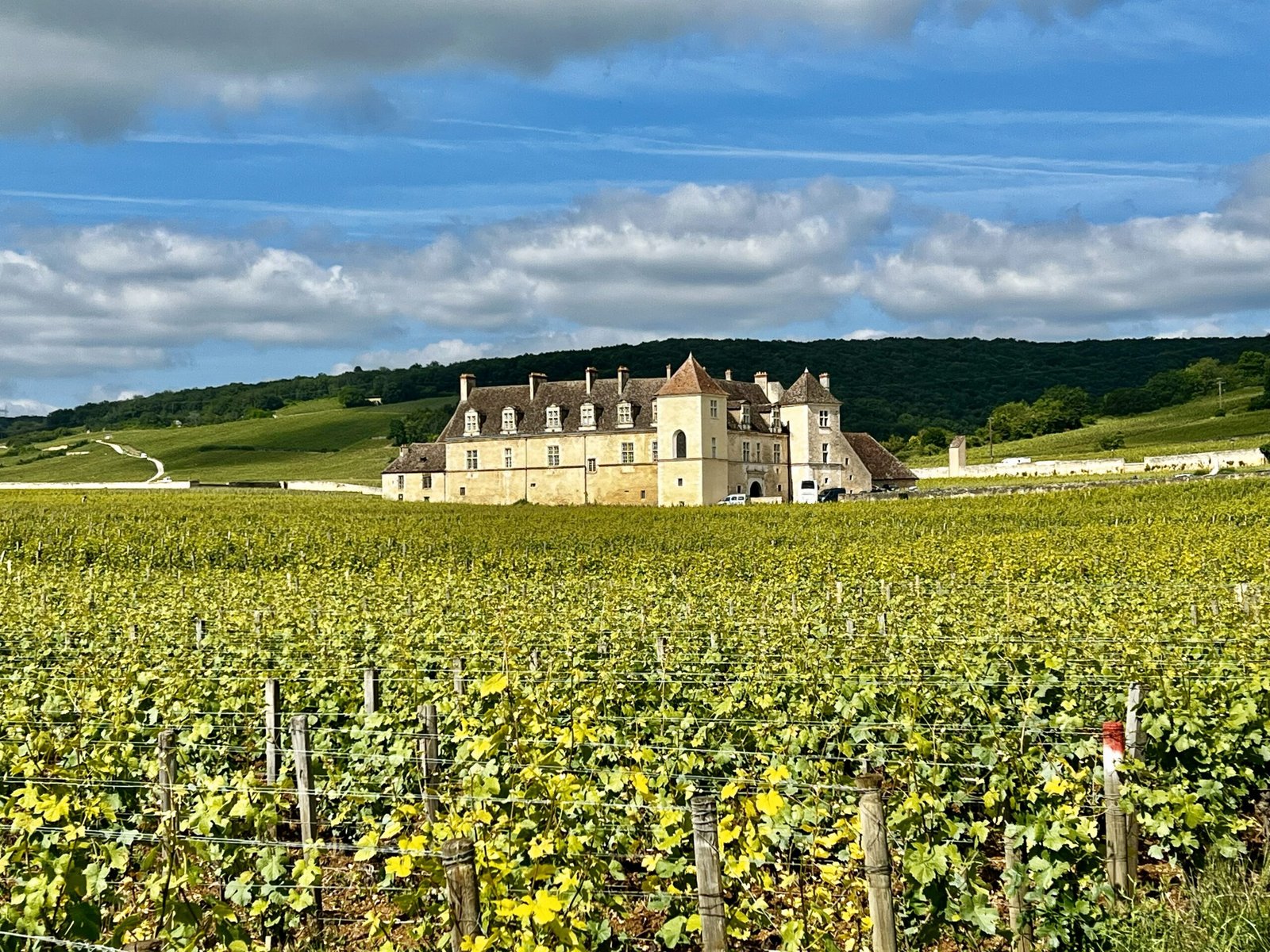 Vignobles de Bourgogne avec château
