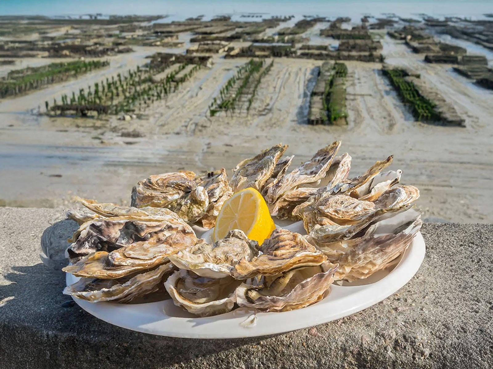 Normandy gastronomy: oysters and local delicacies