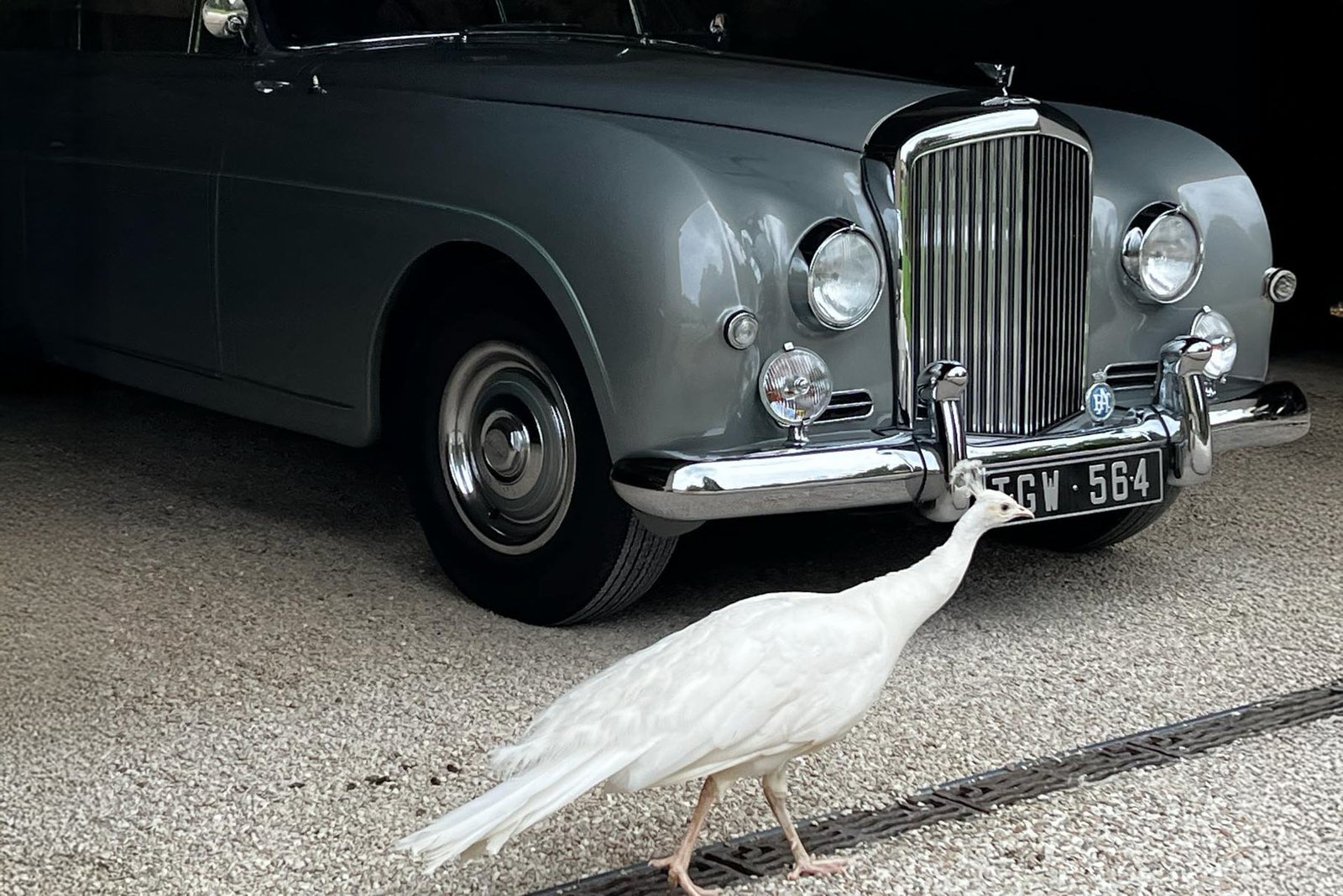 Voiture de collection et service premium