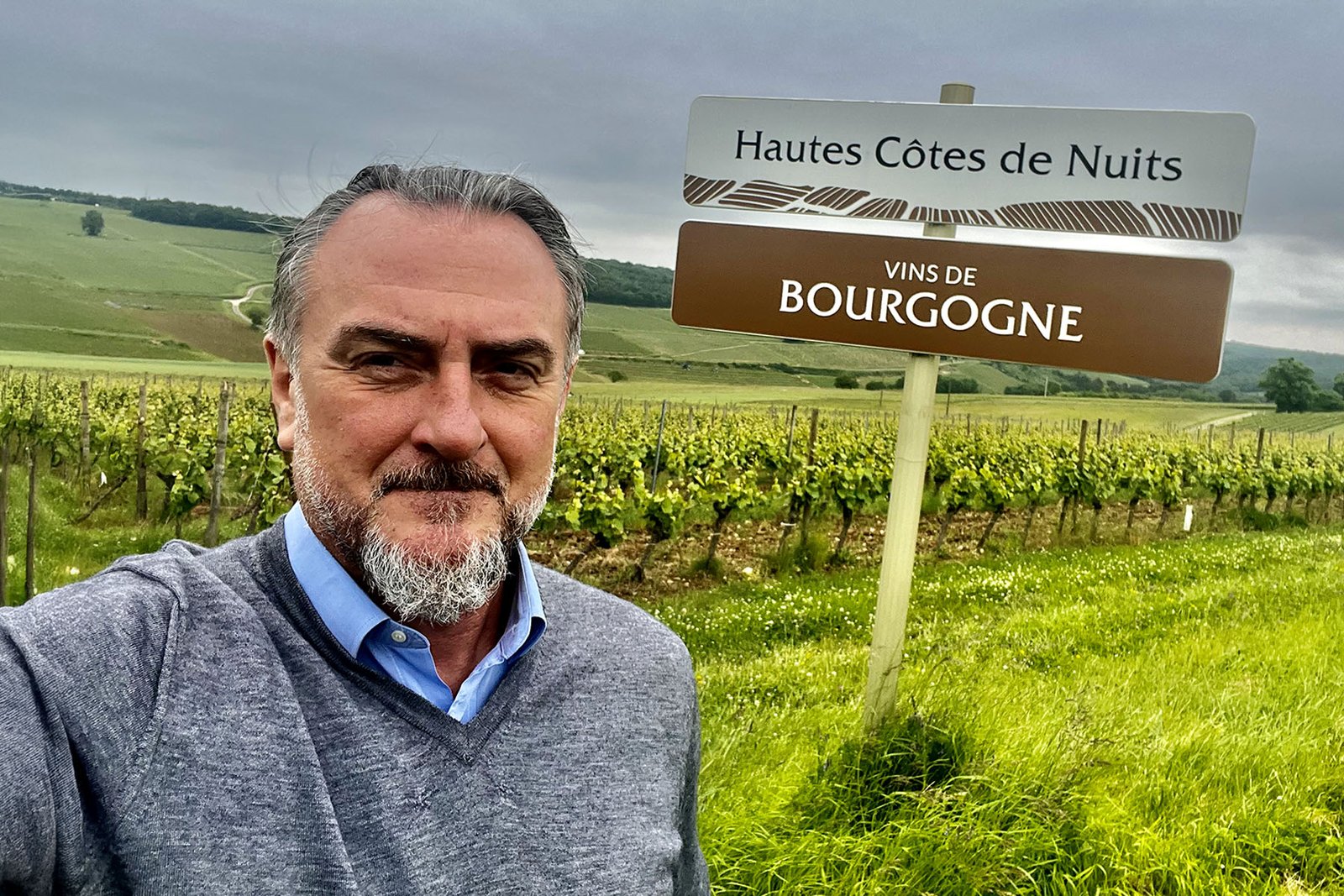 Vladimir dans les vignobles de Bourgogne